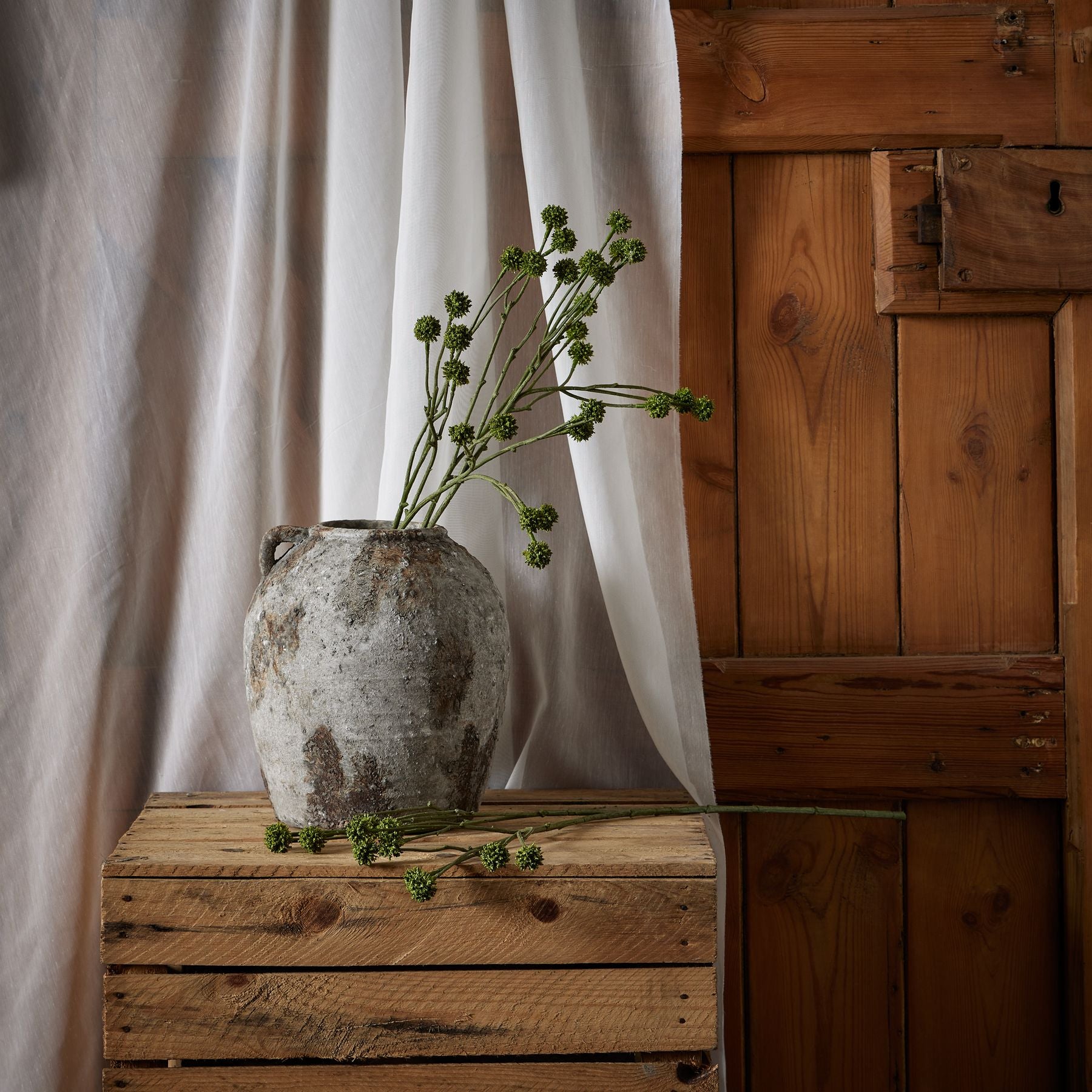 Green Craspedia stem with spherical green blooms in a rustic vase, set against a wooden backdrop and white drapery.