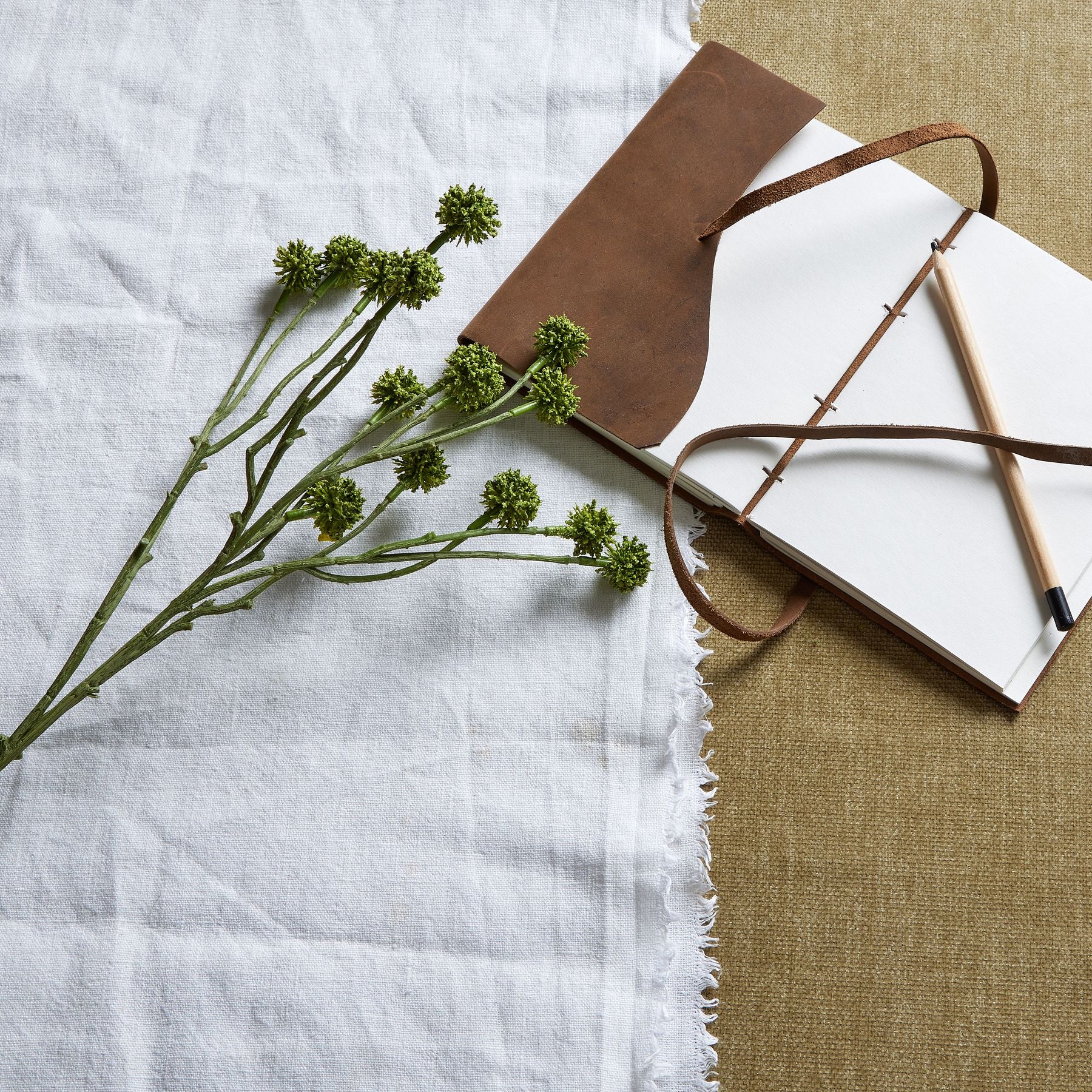 Green Craspedia stem with spherical green blooms on a white linen surface, alongside a brown leather notebook and pen.