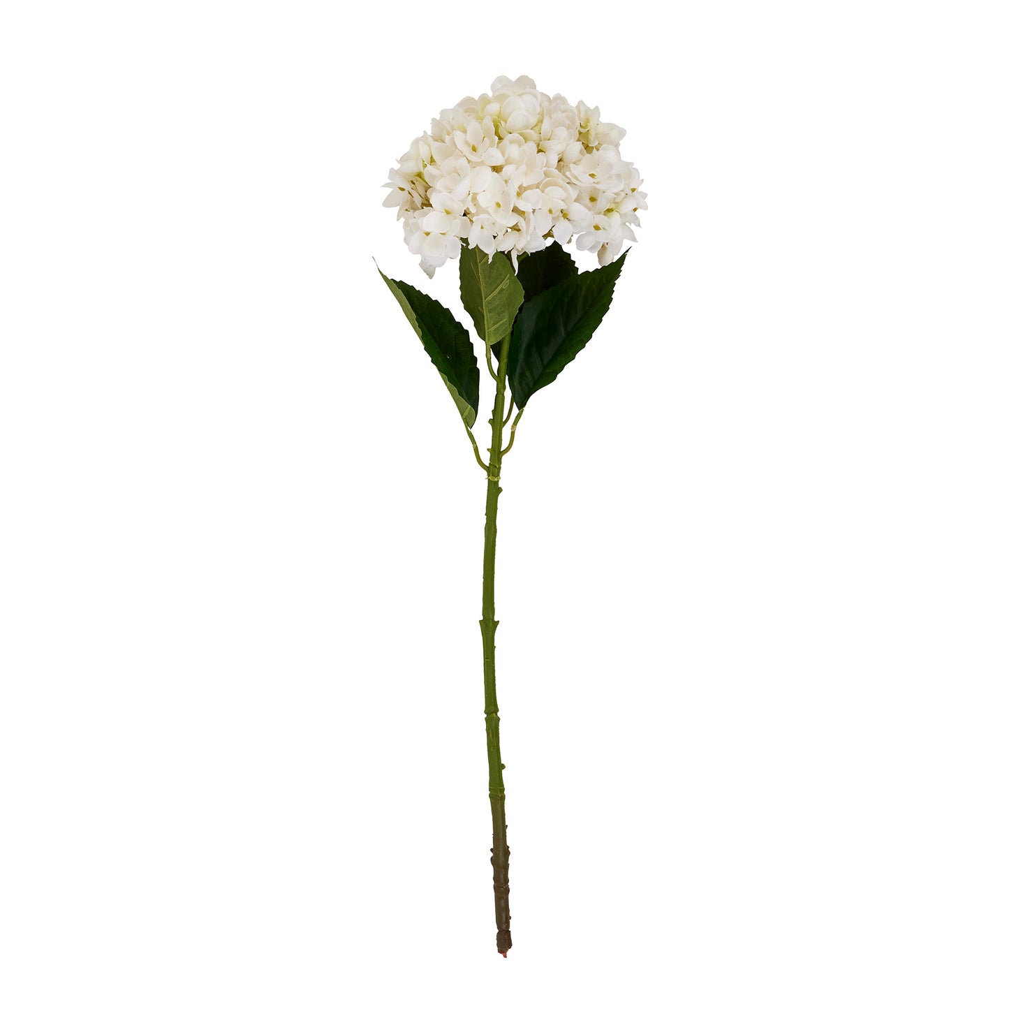 White hydrangea stem with intricately crafted blooms, dense petals, and robust green stem; ideal for elegant home decor.
