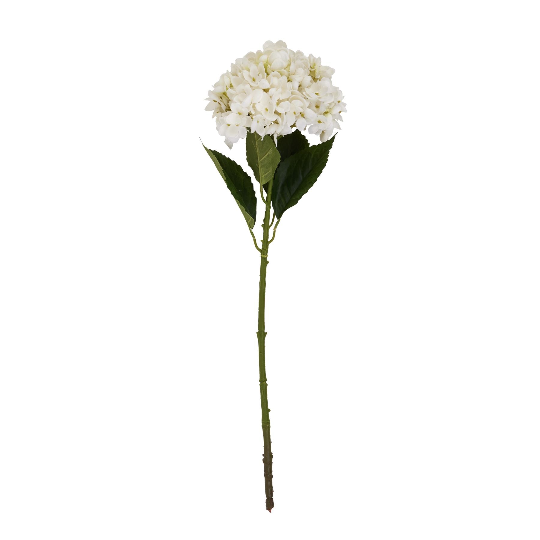 Elegant white hydrangea stem featuring dense petals and a robust green stem, perfect for versatile home arrangements.