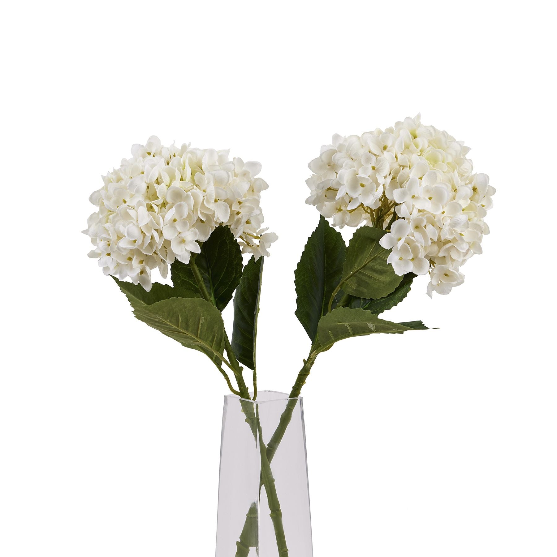 White hydrangea stem with dense, delicate petals and green leaves, elegantly displayed in a clear vase. Perfect for sophisticated decor.