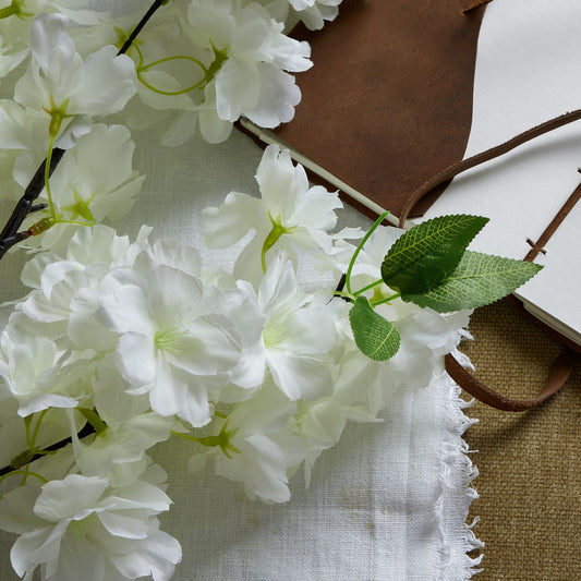 Large white cherry blossom stem with delicate petals, complemented by green leaves, on a textured neutral background.