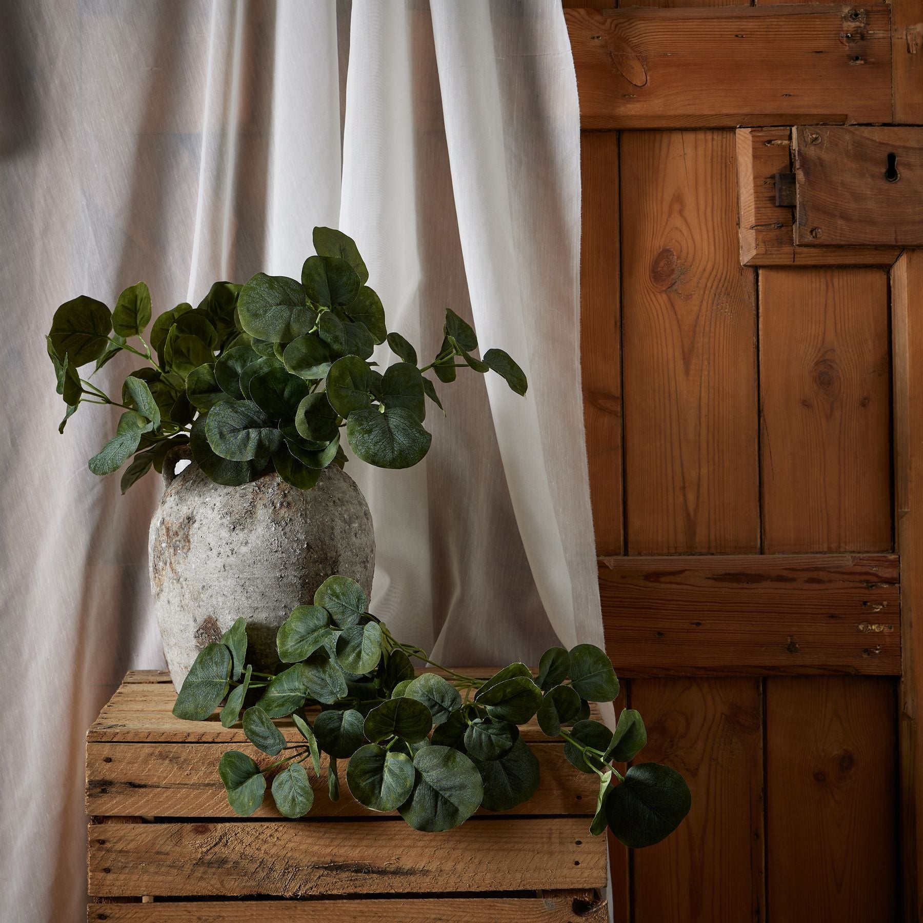 Lifelike short eucalyptus bunch in a textured gray pot, with lush green leaves, displayed on a wooden crate near sheer white curtains.