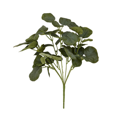 Short Eucalyptus Bunch - Single Stem Flowers from the Quanta Home collection.