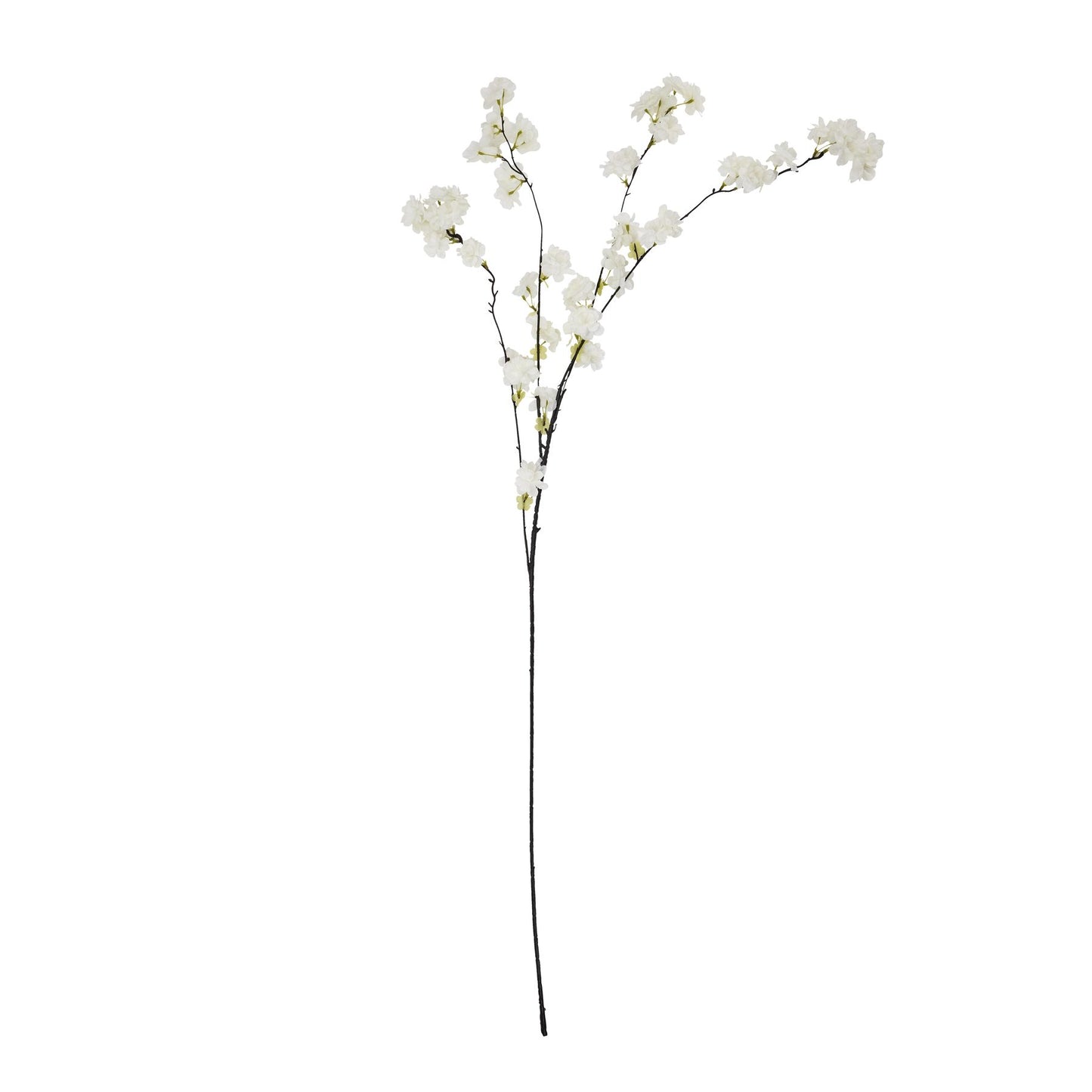 Large white cherry blossom stem with arching branches and clusters of delicate flowers, perfect for elegant home decor.
