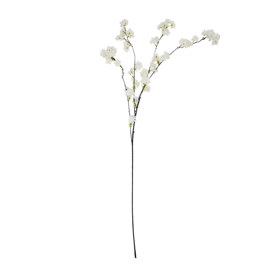 Large white cherry blossom stem with arching branches and clusters of delicate flowers, perfect for elegant home decor.