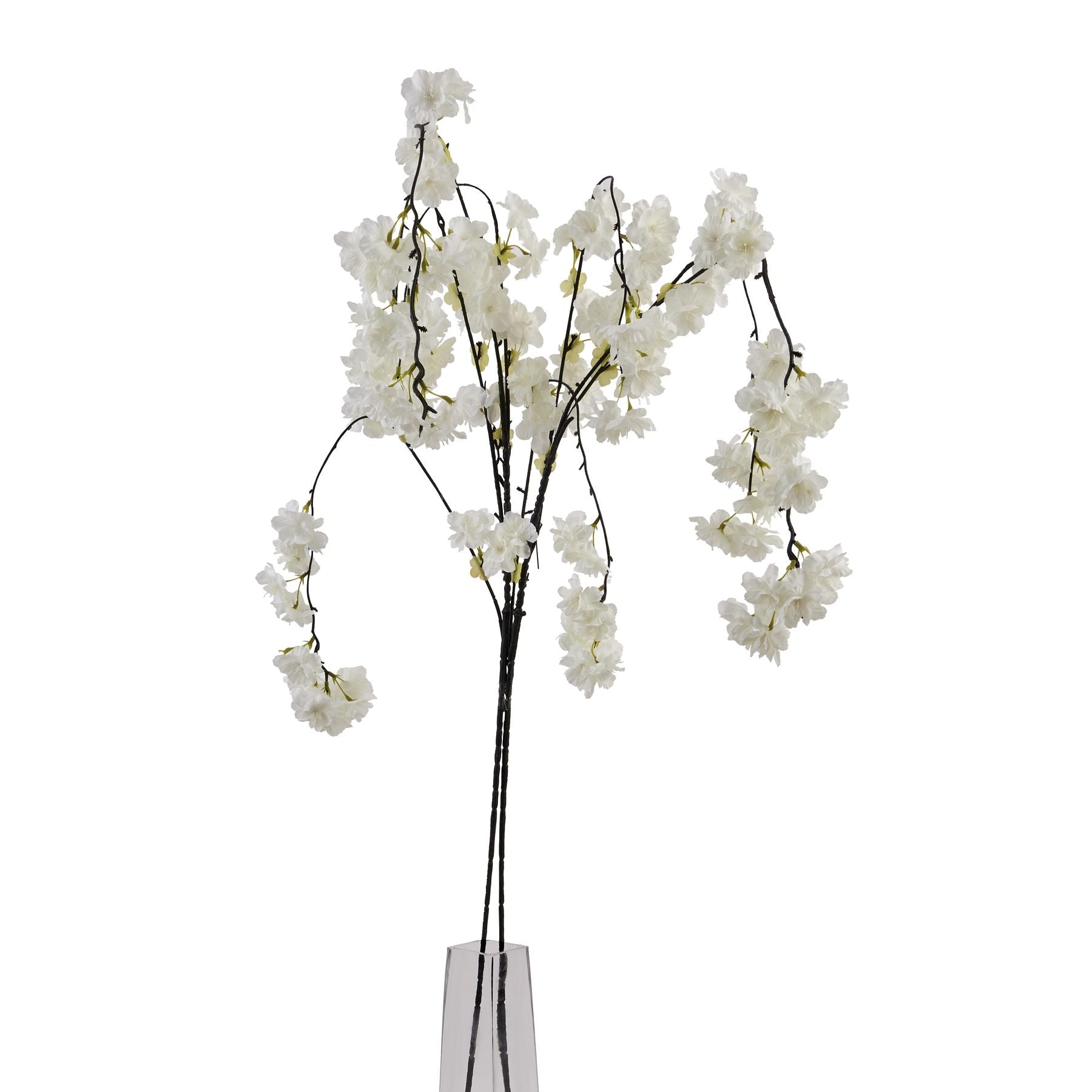 Large white cherry blossom stem with clusters of delicate blossoms on an arching stem, perfect for elegant floral arrangements.