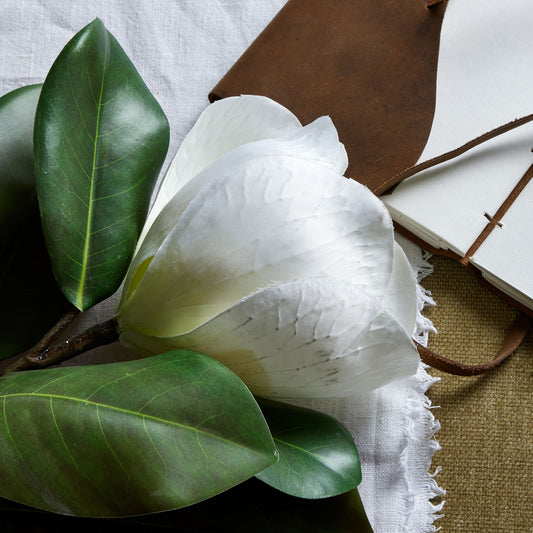 Pristine white magnolia bloom with detailed petals and lush green leaves, set against textured fabrics and a leather-bound notebook.