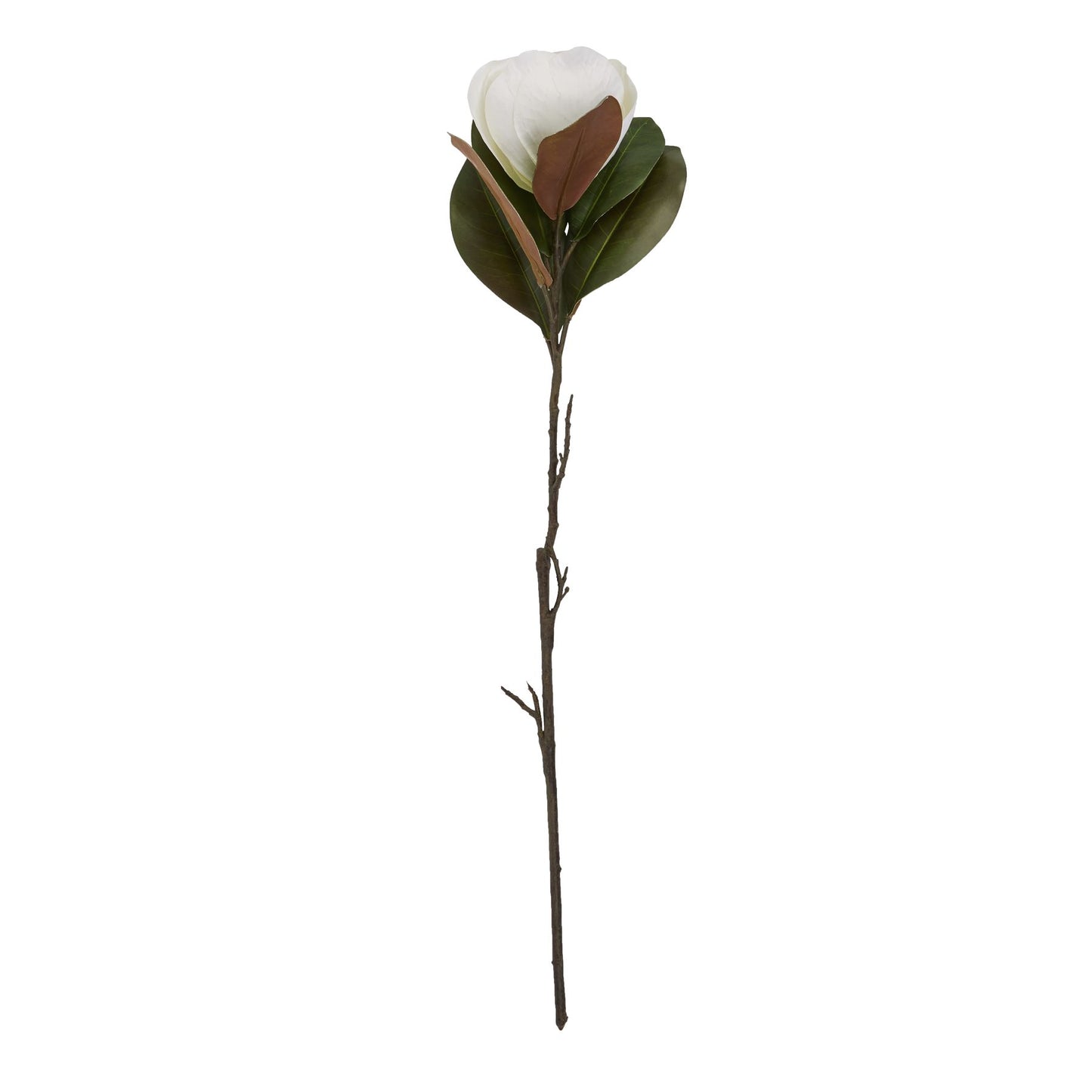 Elegant white magnolia stem with detailed petals and green leaves, perfect for sophisticated floral arrangements.