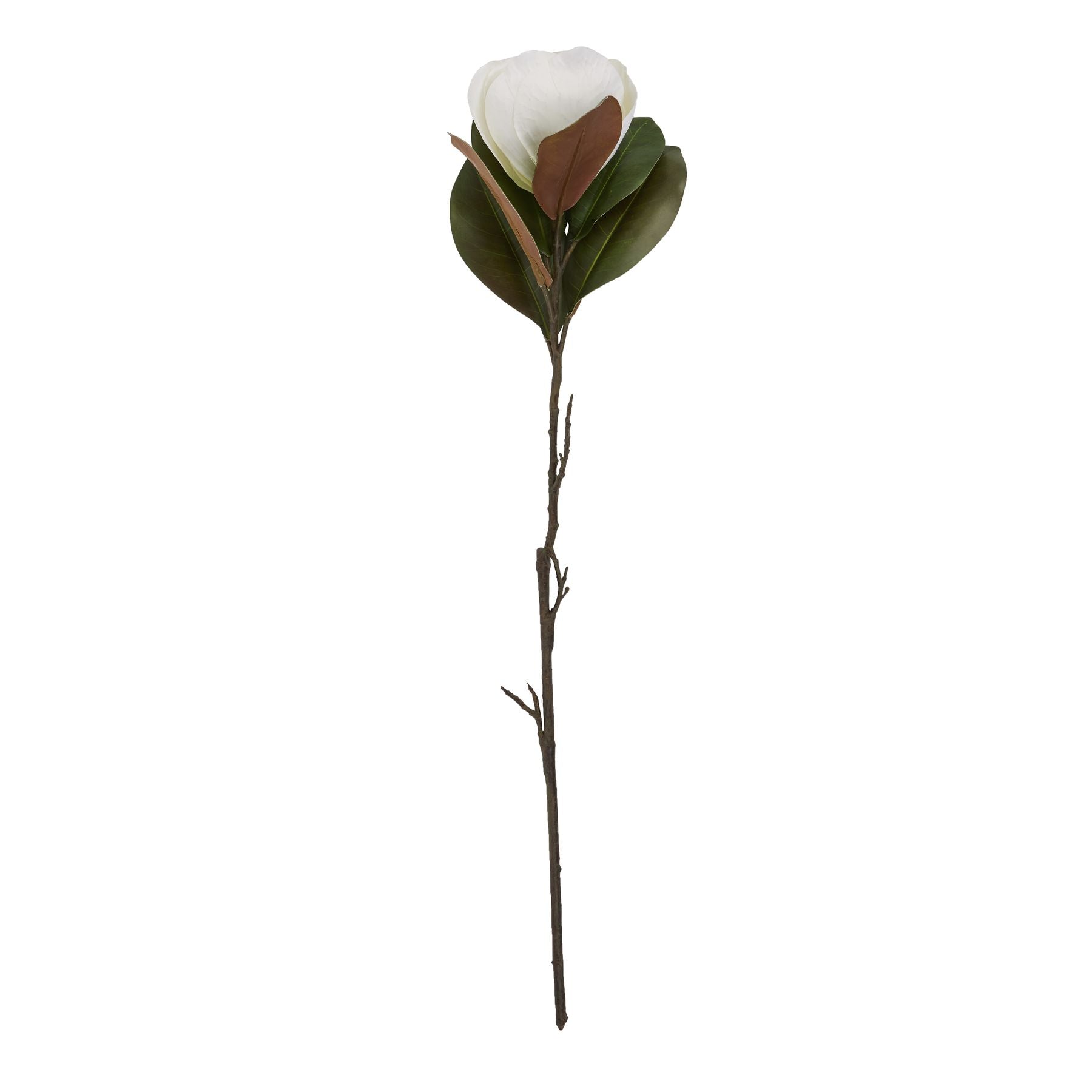Elegant white magnolia stem with detailed petals and green leaves, perfect for sophisticated floral arrangements.