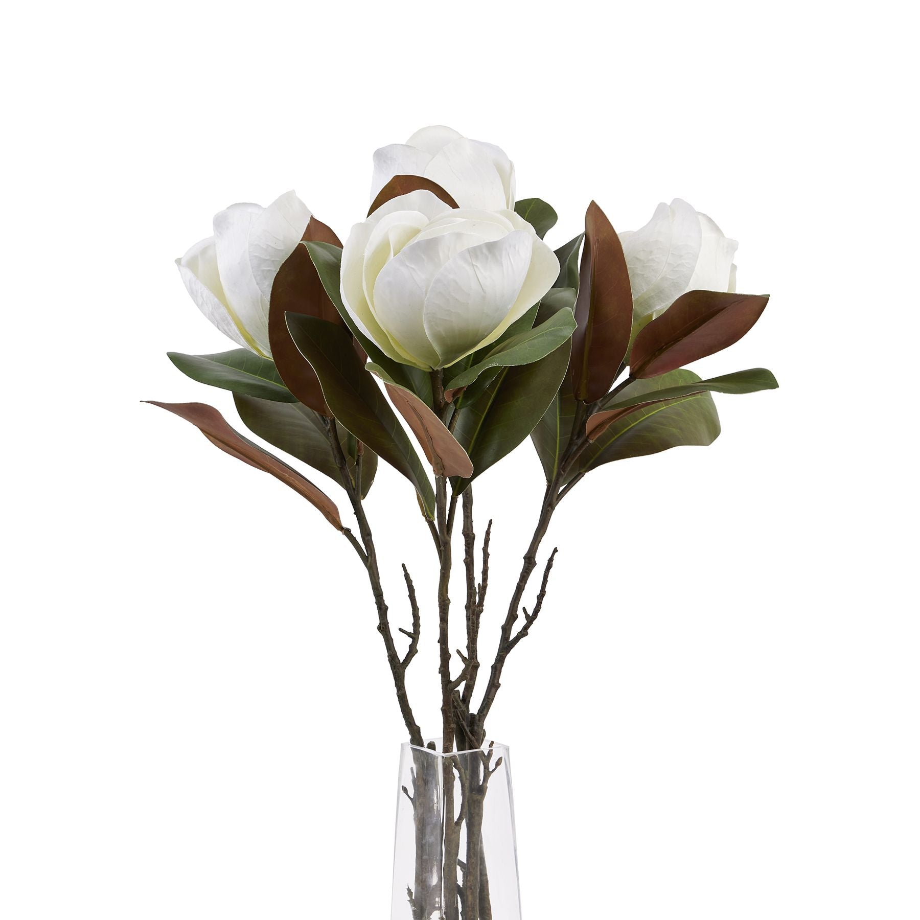 Elegant white magnolia stem with detailed petals and rich green leaves, perfect for floral arrangements and decor.