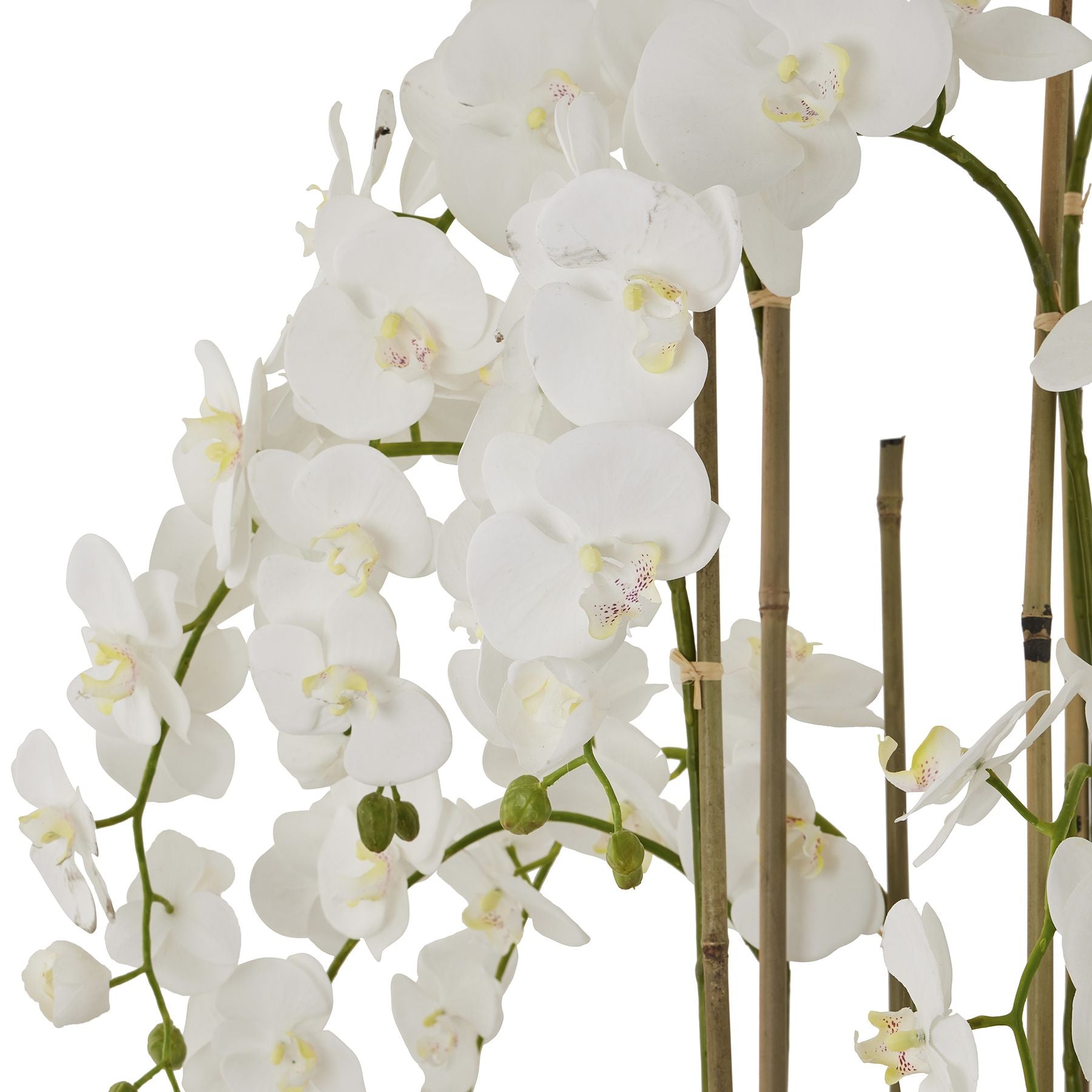 Large White Orchid In Antique Stone Pot - All Artificial Flowers from the Quanta Home collection.