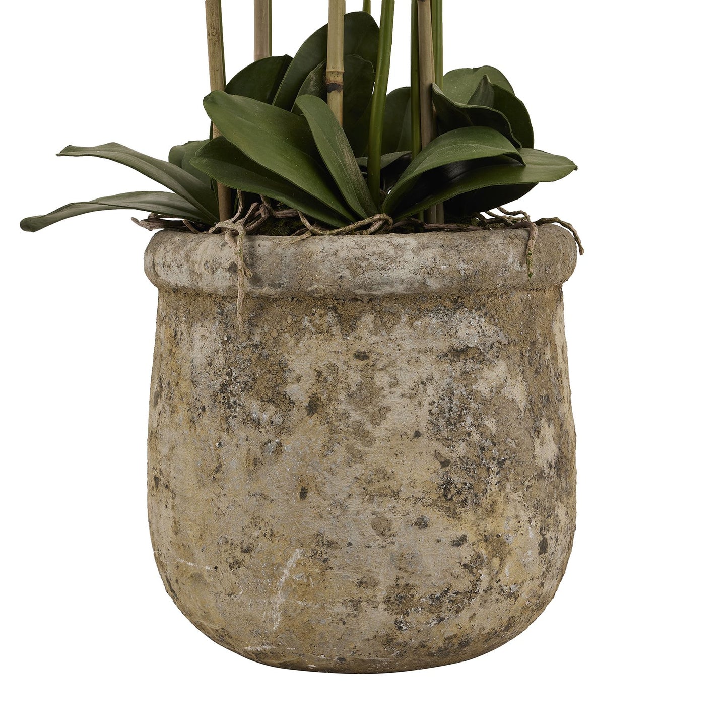 Large White Orchid In Antique Stone Pot - All Artificial Flowers from the Quanta Home collection.