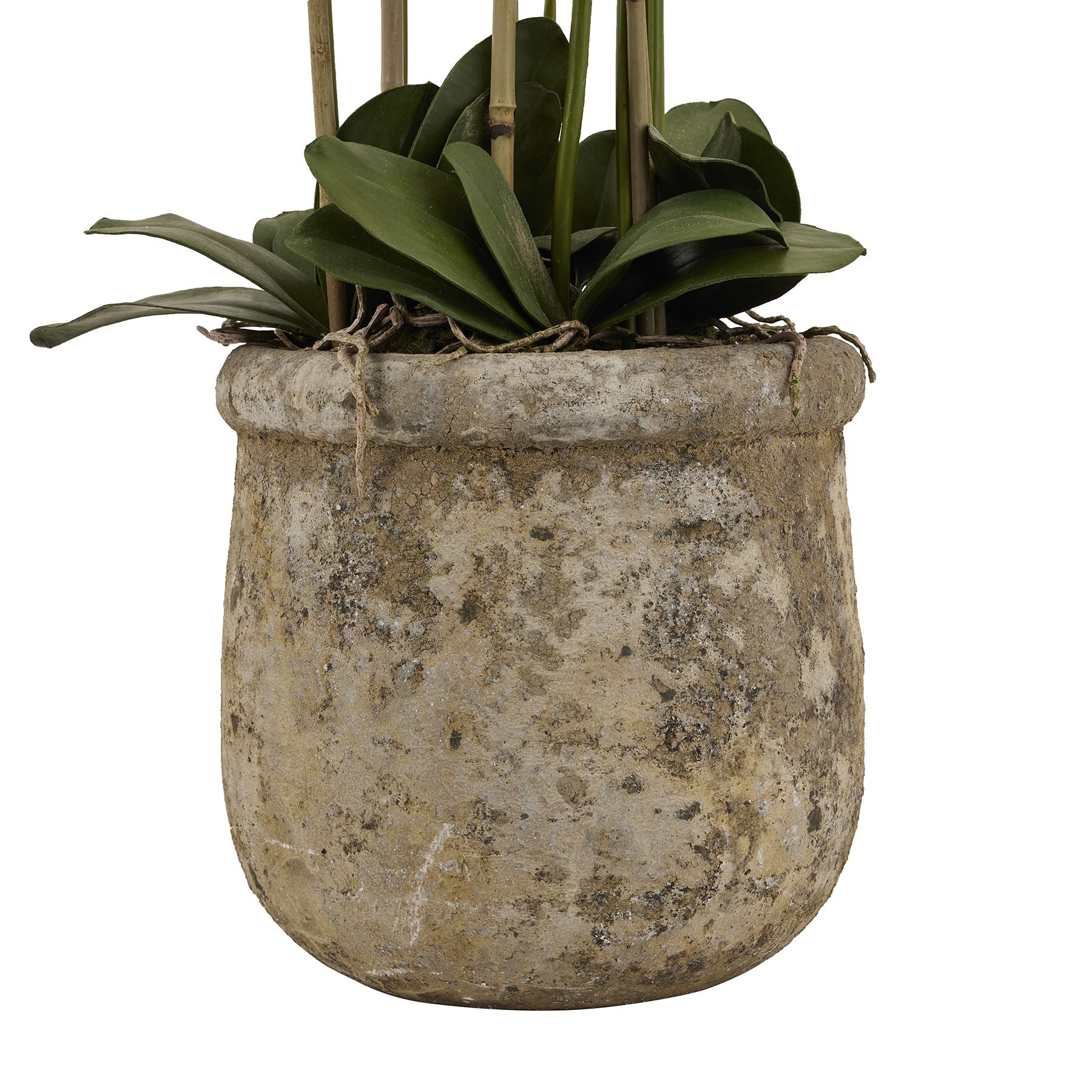 Large White Orchid In Antique Stone Pot - All Artificial Flowers from the Quanta Home collection.