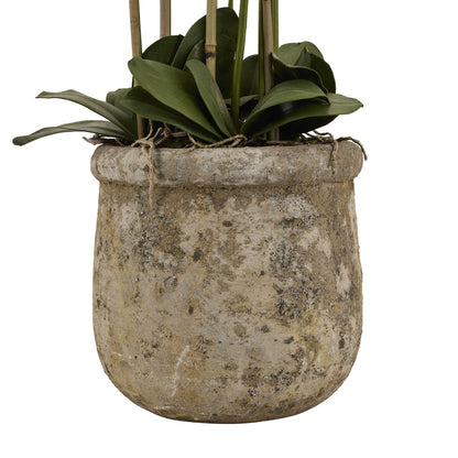Large White Orchid In Antique Stone Pot - All Artificial Flowers from the Quanta Home collection.