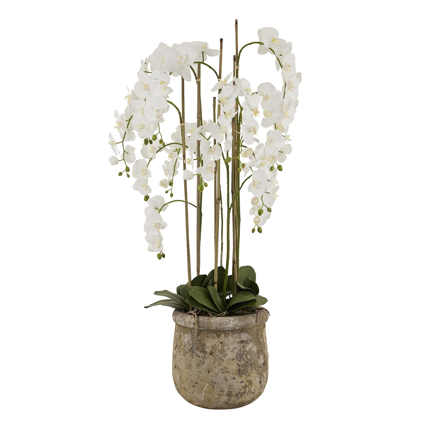 Large White Orchid In Antique Stone Pot - All Artificial Flowers from the Quanta Home collection.