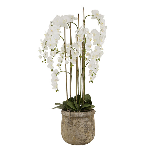 Large White Orchid In Antique Stone Pot - All Artificial Flowers from the Quanta Home collection.