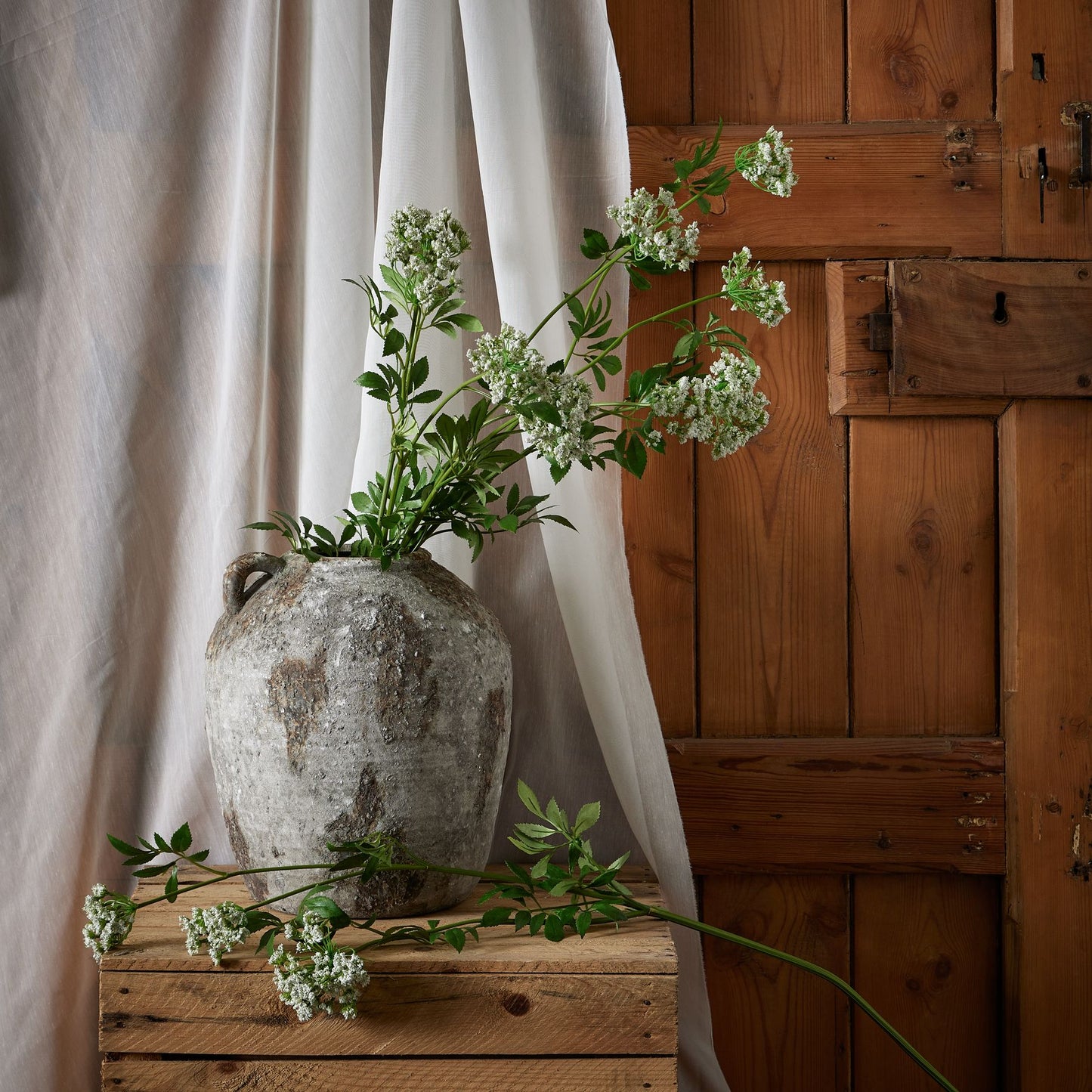 Delicate white cow parsley blooms emerge from a textured gray vase, surrounded by lush green leaves, against rustic wooden backdrop.