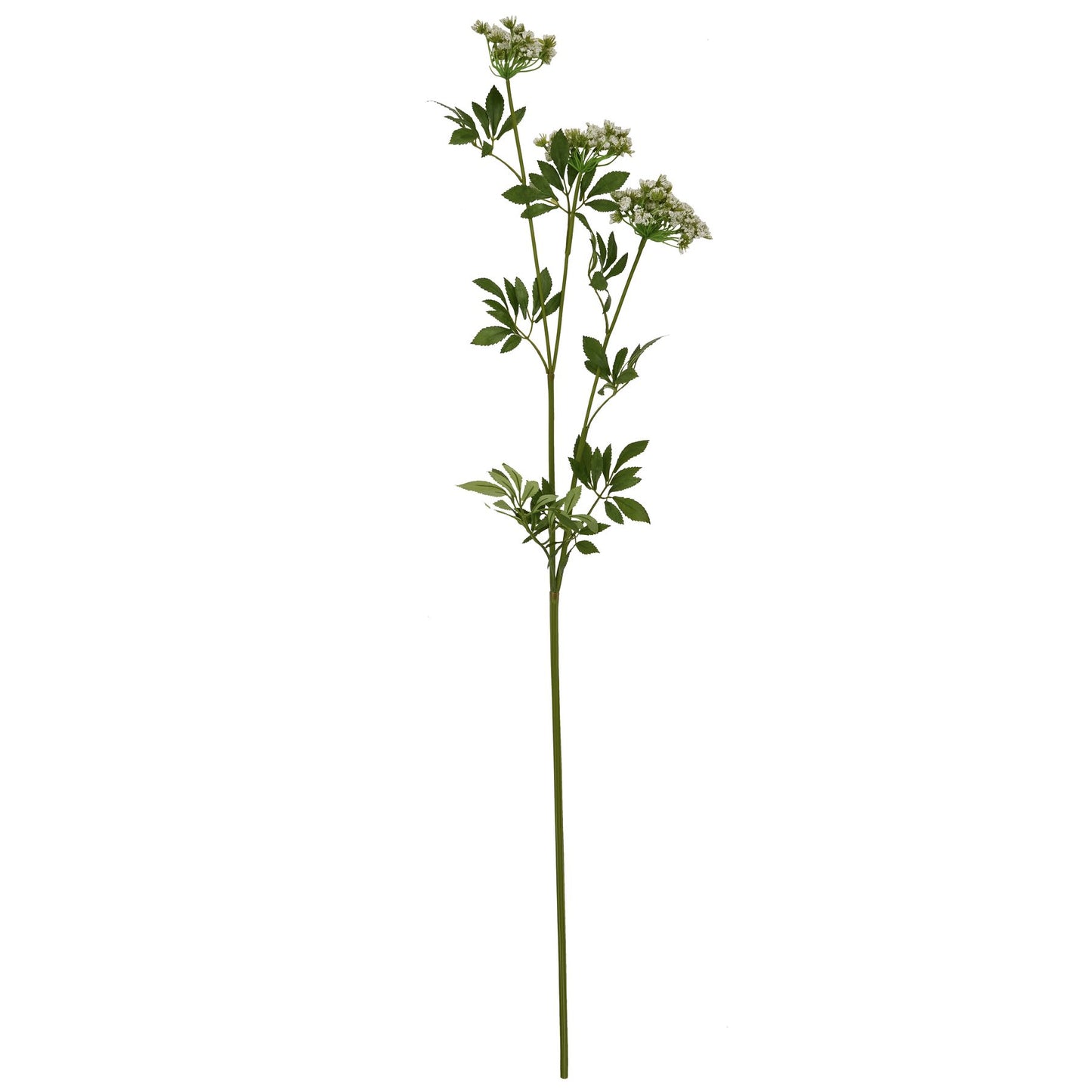 Delicate faux white cow parsley stem with intricate lace-like blooms and lush green leaves, perfect for elegant decor.