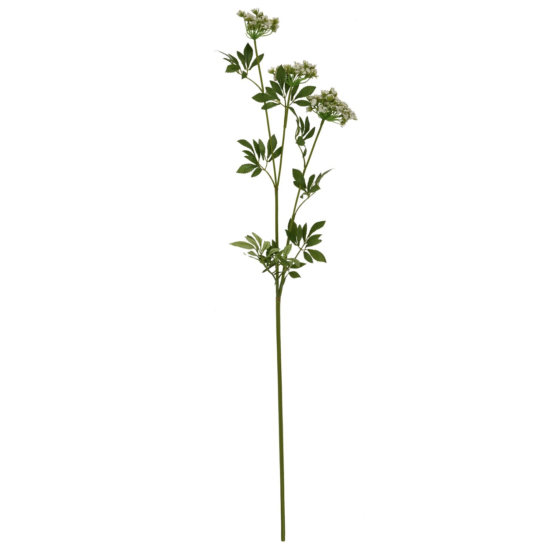 Delicate faux white cow parsley stem with intricate lace-like blooms and lush green leaves, perfect for elegant decor.