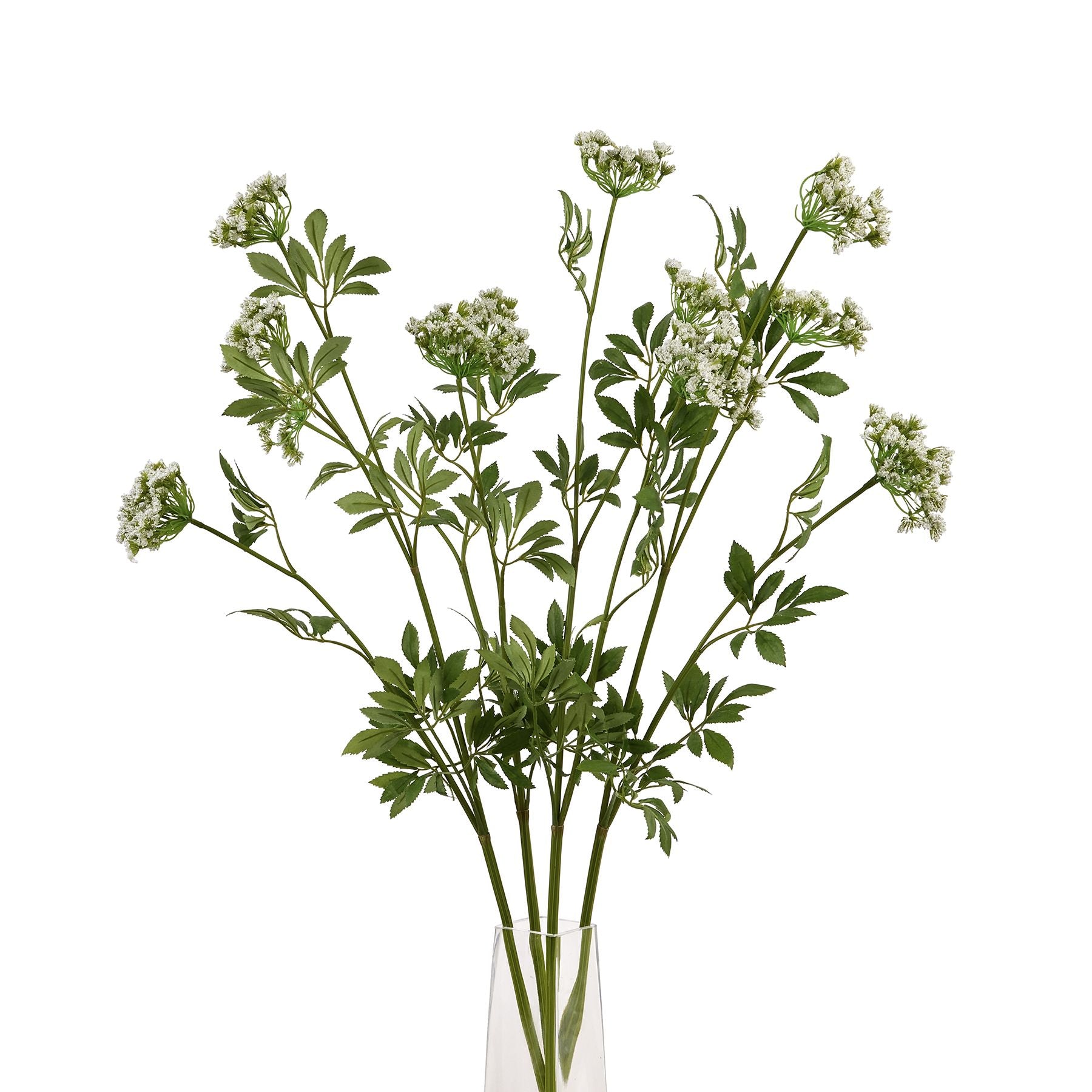 Artificial white cow parsley stem with intricate blooms and green leaves, elegantly arranged in a clear vase.