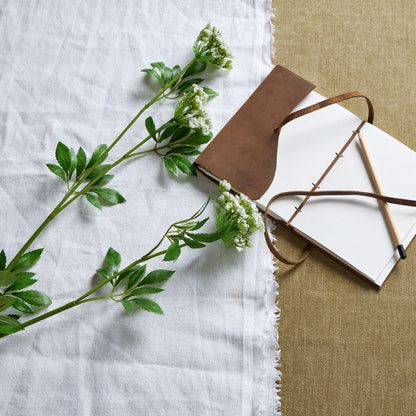 Faux White Cow Parsley Ammi - Single Stem Flowers from the Quanta Home collection.