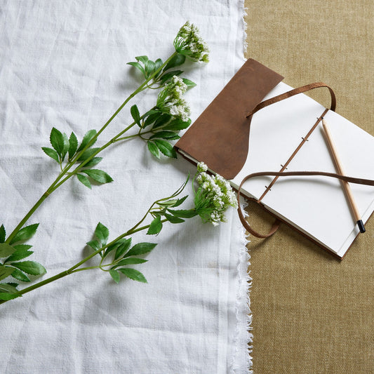 Faux White Cow Parsley Ammi - Single Stem Flowers from the Quanta Home collection.