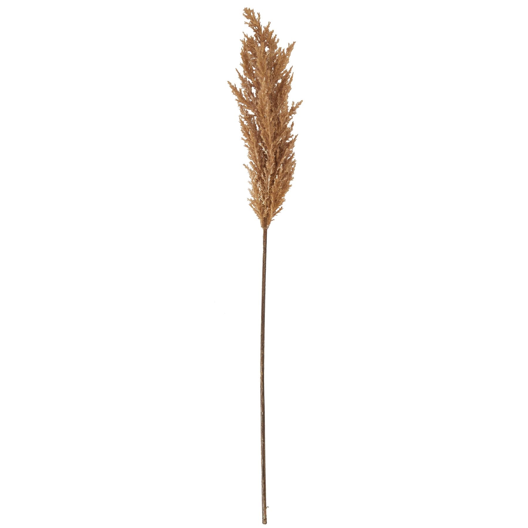Taupe Faux Dried Pampas Grass Stem - Foliage from the Quanta Home collection.