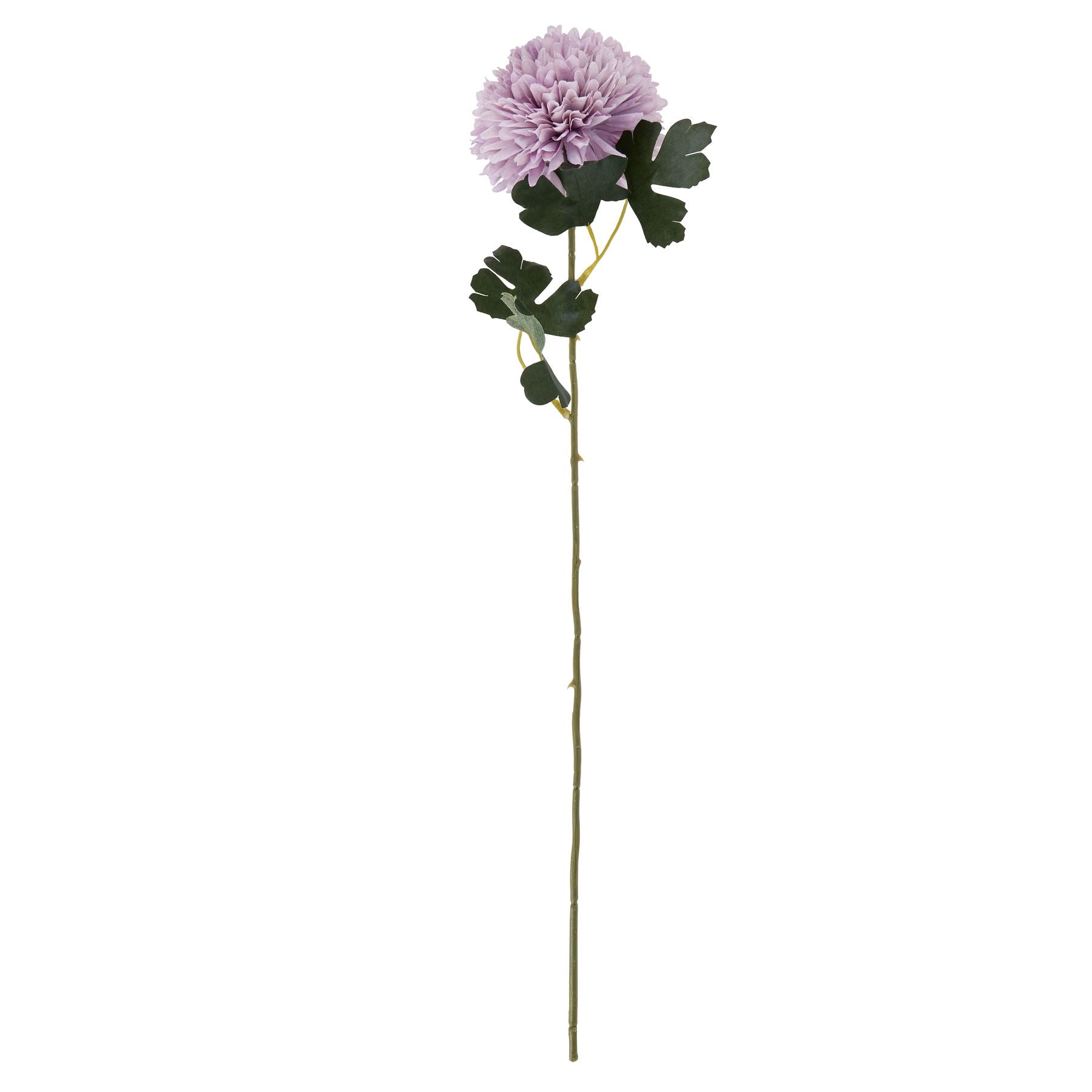 Light purple chrysanthemum with intricate layered petals on a long stem, accompanied by green foliage for an elegant touch.