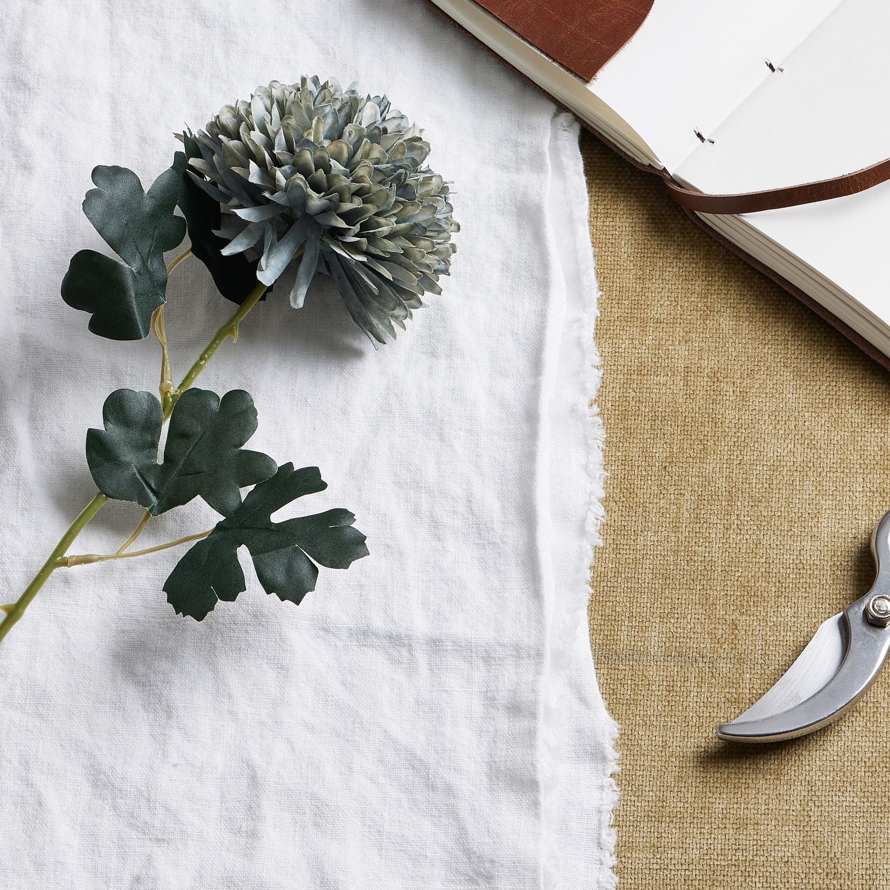 Pale green-blue chrysanthemum with layered petals and dark green leaves, on a white fabric background with a journal and scissors.