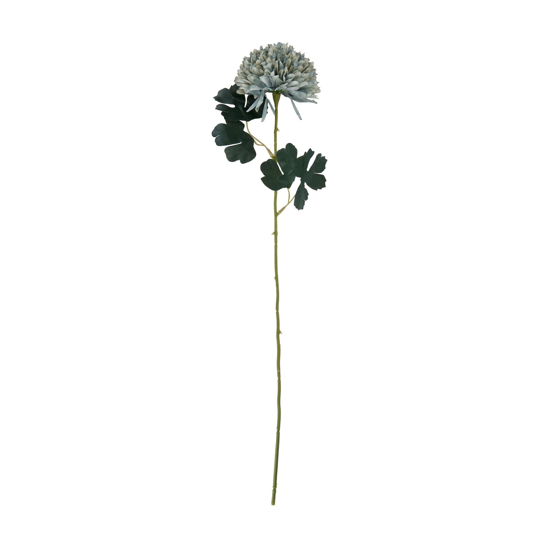Pale green-blue chrysanthemum stem featuring multi-layered petals and lush green leaves, perfect for elegant floral arrangements.