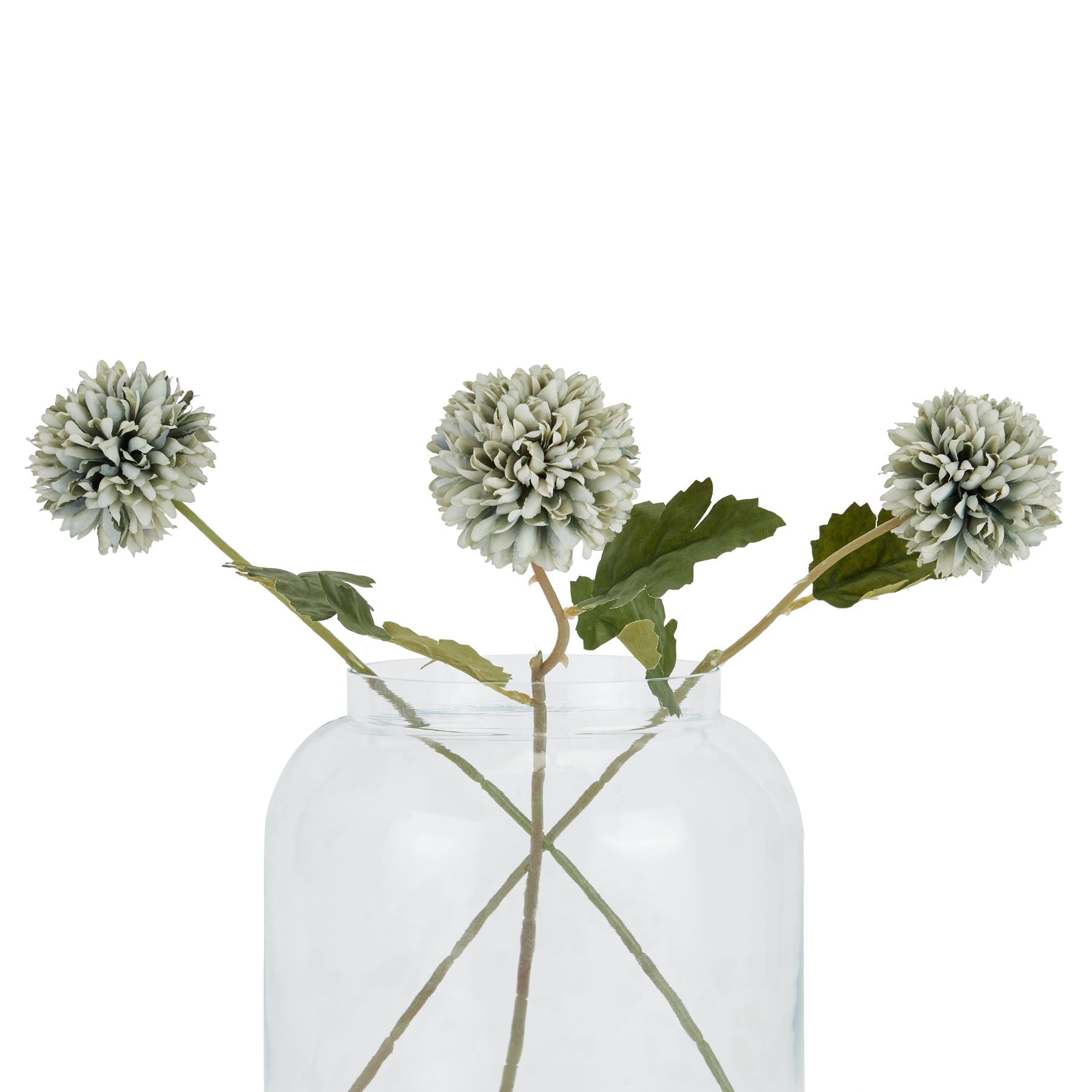 Pale green-blue short chrysanthemum with layered petals, complemented by green leaves, arranged in a clear vase.