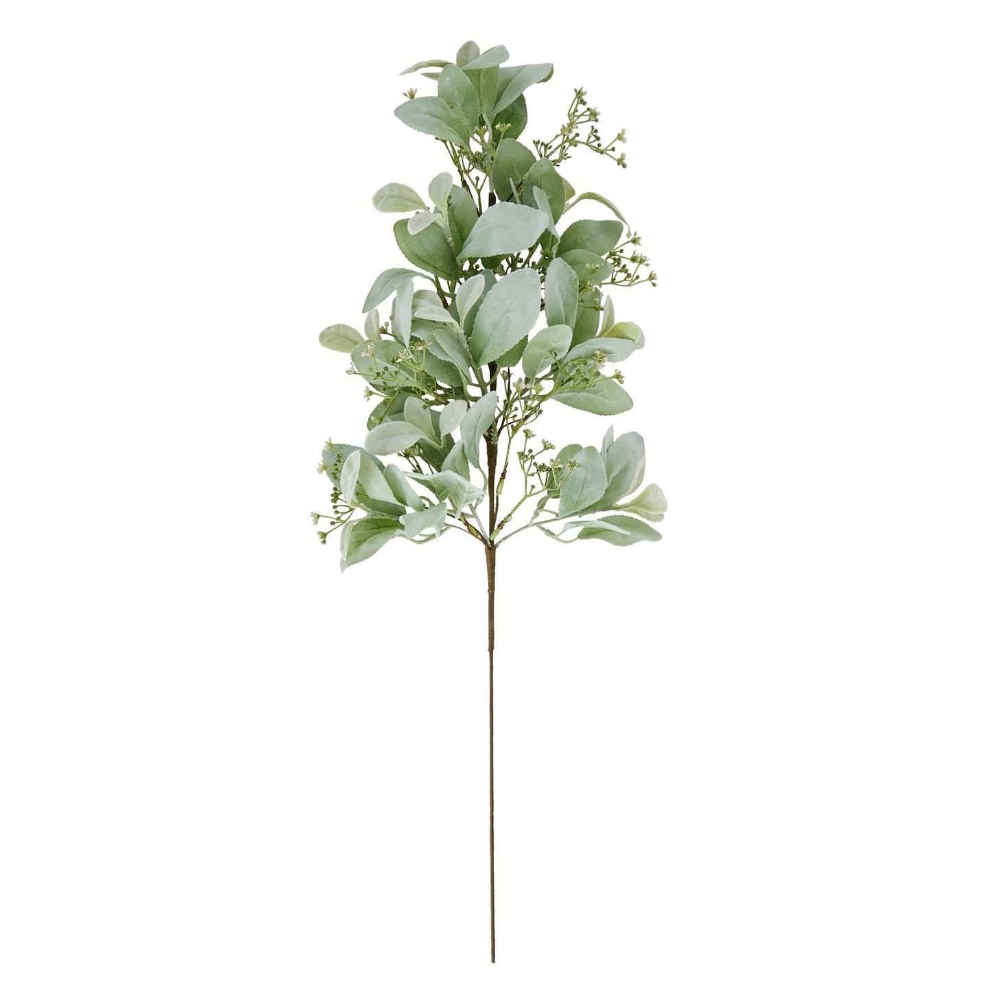 Large Winter Sprig With Lambs Ear And Wax Flower - Festive Flowers & Foliage from the Quanta Home collection.