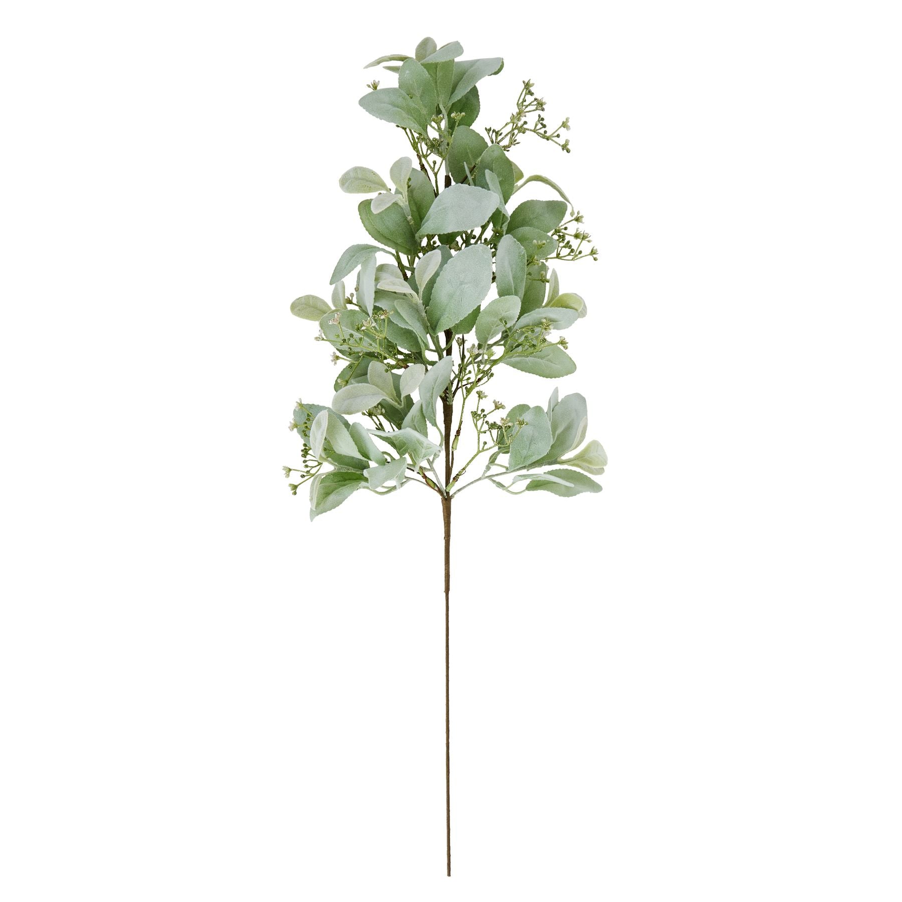 Large Winter Sprig With Lambs Ear And Wax Flower - Festive Flowers & Foliage from the Quanta Home collection.
