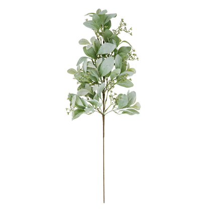 Large Winter Sprig With Lambs Ear And Wax Flower - Festive Flowers & Foliage from the Quanta Home collection.