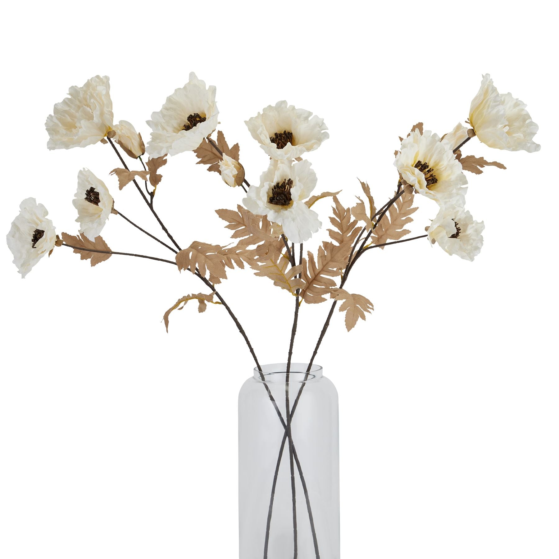 Large white poppy stems feature delicate blooms with subtle coffee accents, arranged in a clear vase showcasing natural elegance.