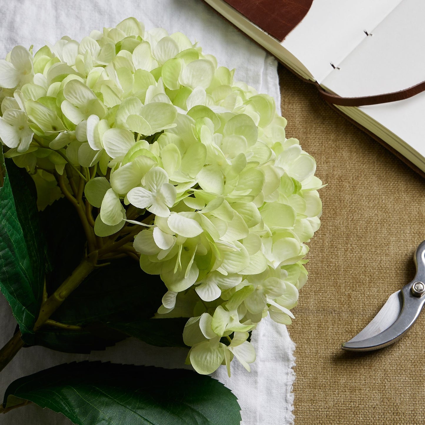 Oversized green hydrangea with hand-painted petals and lush leaves, set on textured fabric with gardening shears and a notebook.