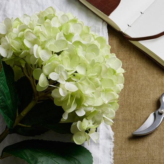 Oversized green hydrangea with hand-painted petals and lush leaves, set on textured fabric with gardening shears and a notebook.