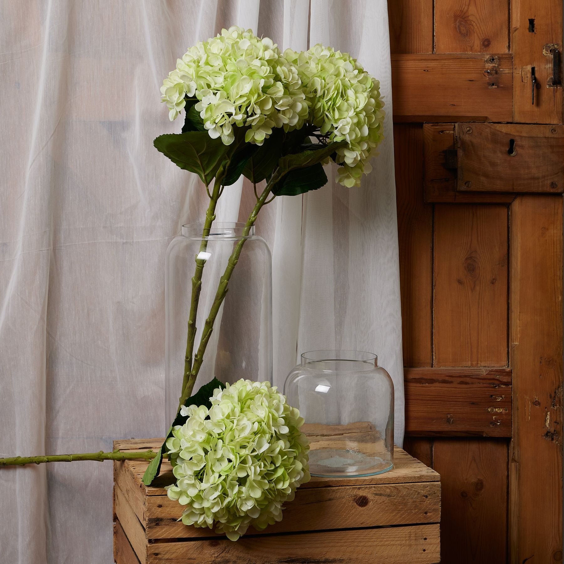 Oversized green hydrangea with hand-painted petals, featuring lush blooms and broad leaves, displayed in a rustic setting.