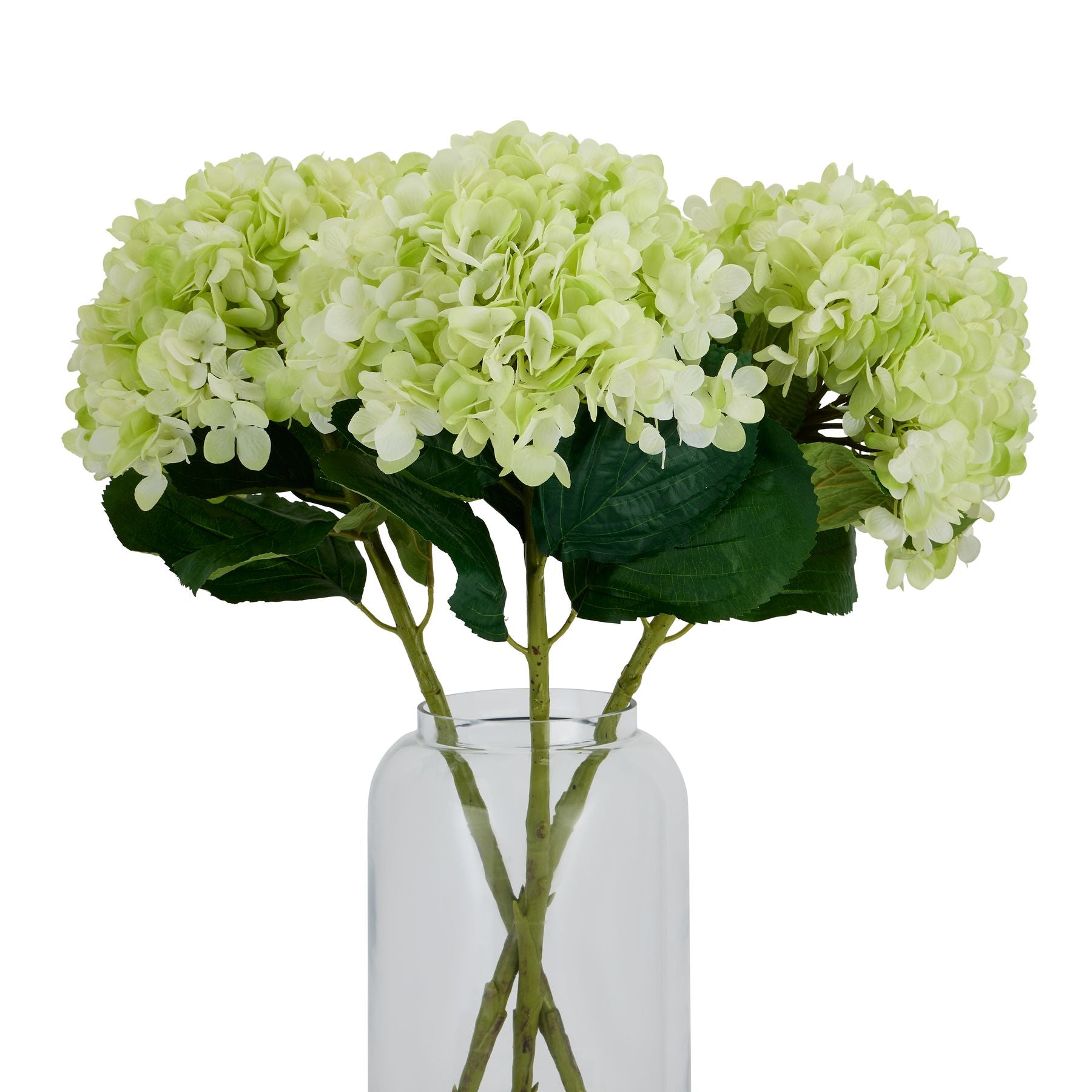 Oversized green hydrangea with hand-painted petals, lush blooms, and vibrant leaves in a clear vase, adding elegance to decor.