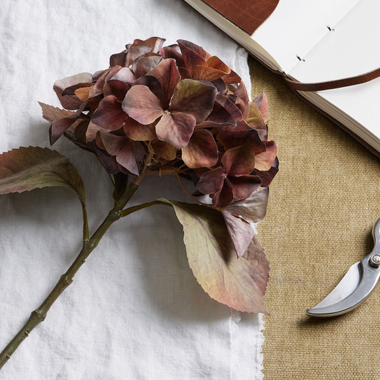 Single hydrangea stem showcasing deep brown, amber, and russet hues, featuring intricate detailing and lush leaves, ideal for autumn decor.