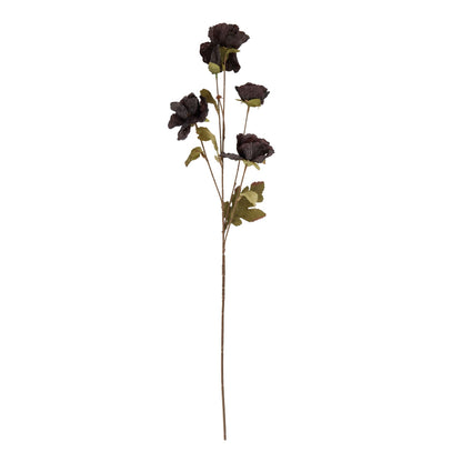 Tall Black Poppy Stem - Spring Stems from the Quanta Home collection.