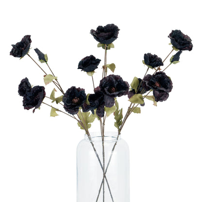 Tall Black Poppy Stem - Spring Stems from the Quanta Home collection.