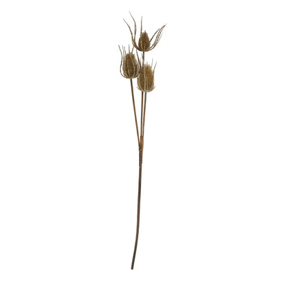 Large Brown Triple Teasle Stem - Single Stem Flowers from the Quanta Home collection.