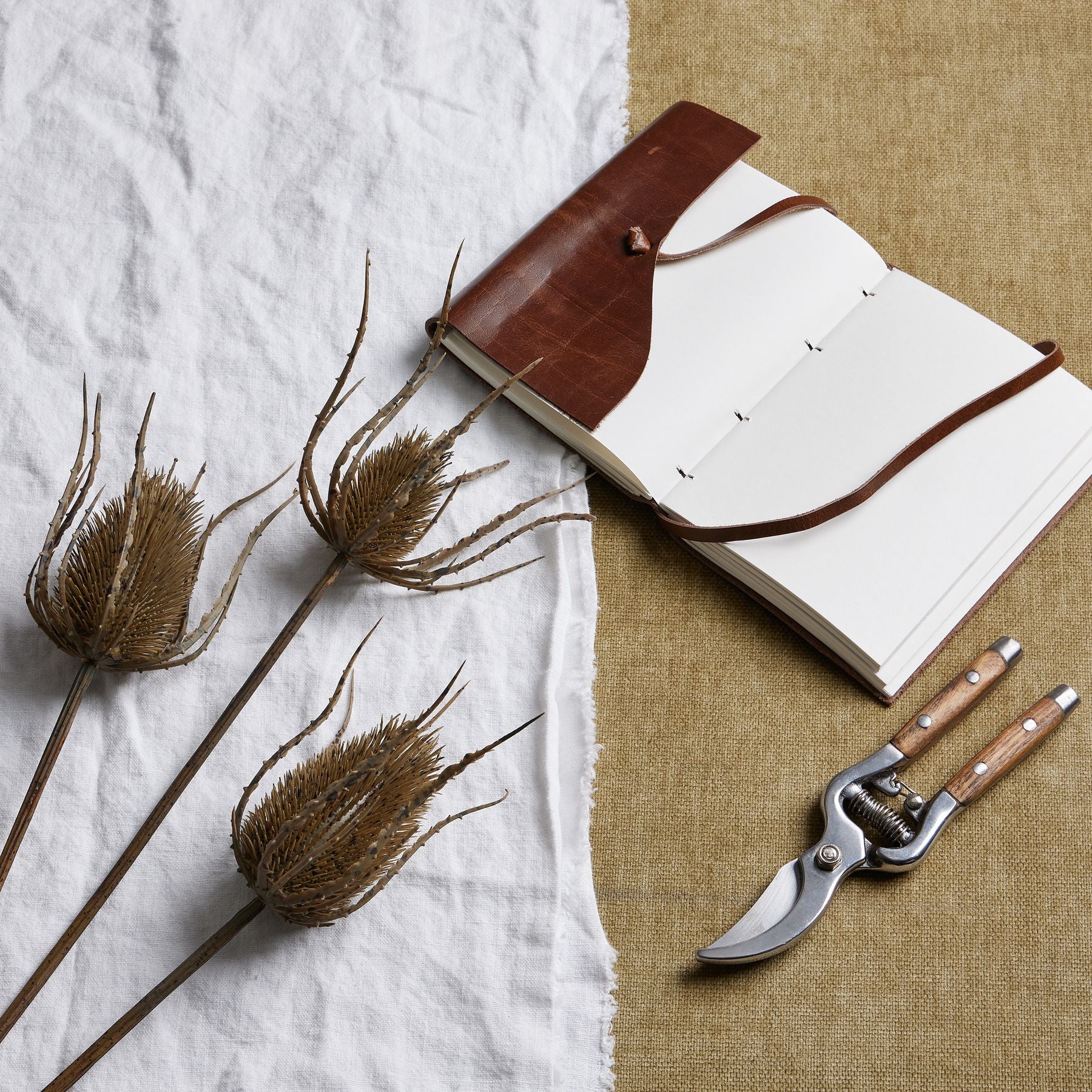 Large brown triple teasle stem with intricate seed heads, arranged next to a leather-bound notebook and garden shears on a textured background.