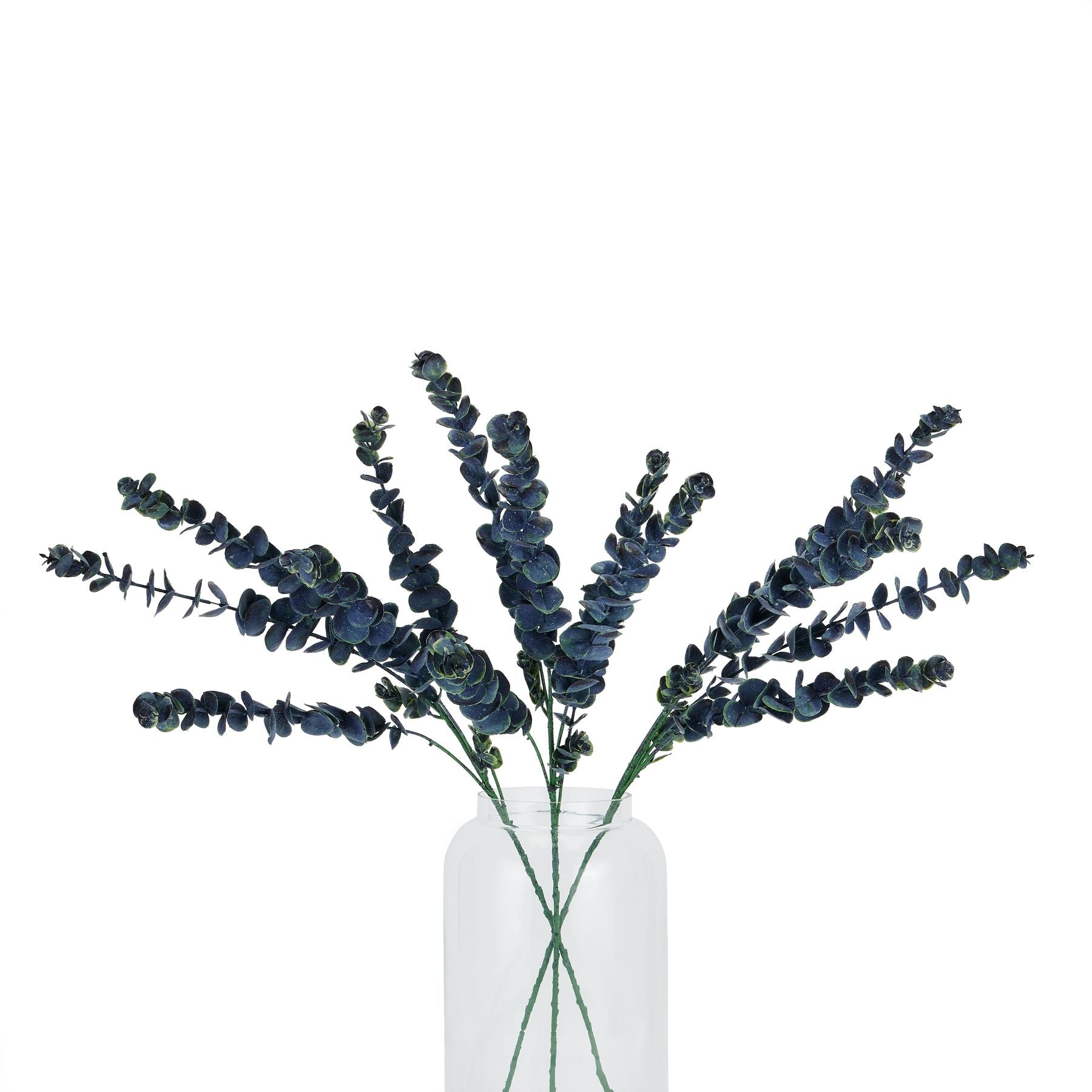 Large blue eucalyptus stem in a clear vase, featuring rich blue tones and realistic details, perfect for elegant arrangements.