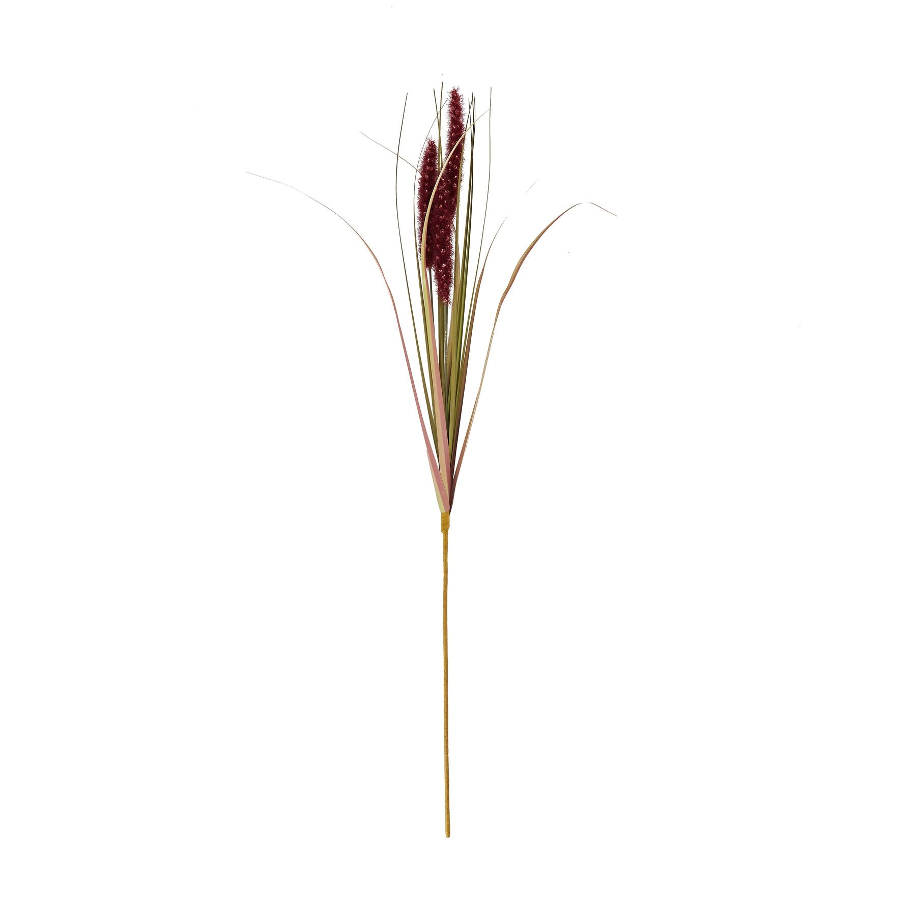 Elegant ruby red grass stem featuring three vibrant tufts with long, slender greenery for sophisticated floral arrangements.