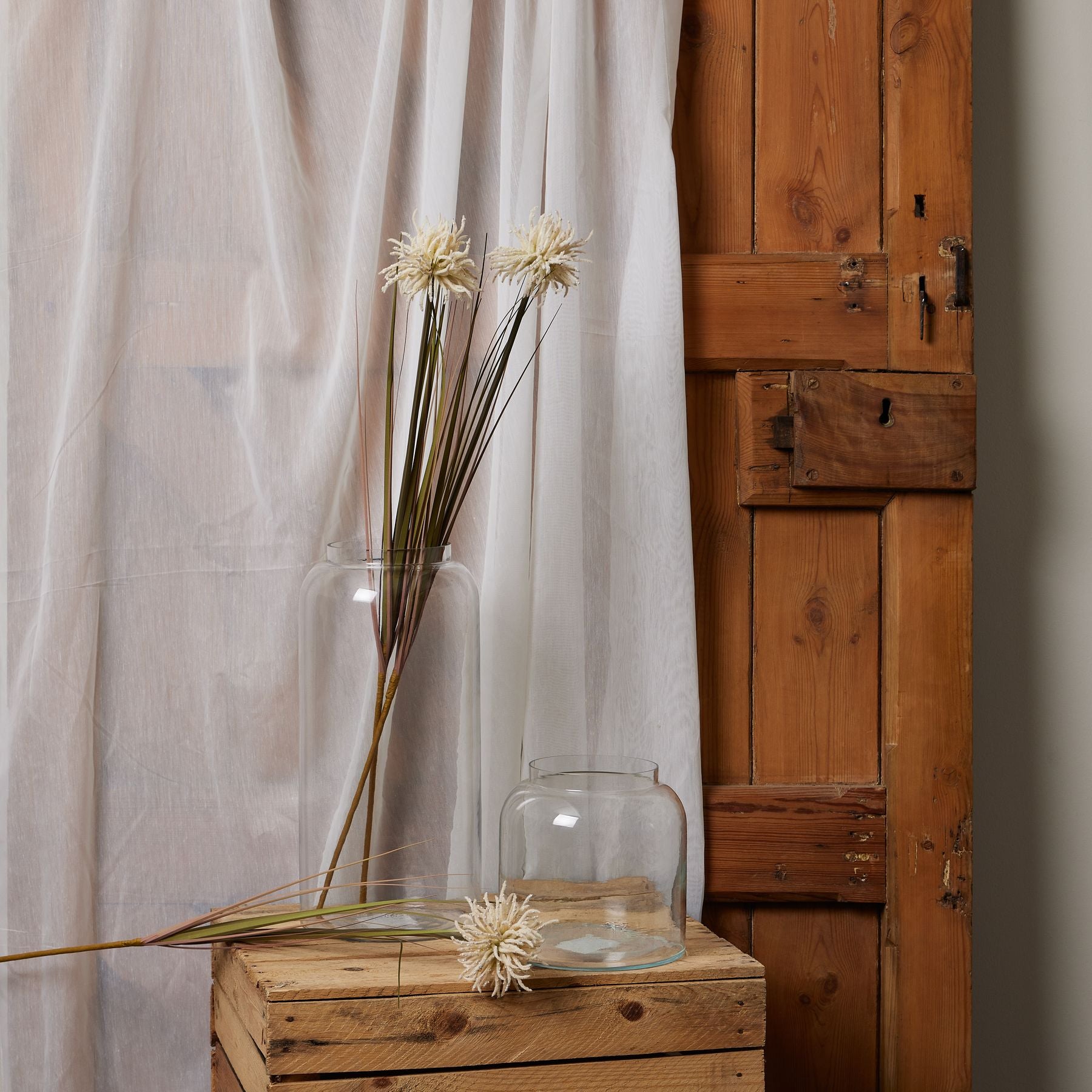 Cream Aster Spider Chrysanthemum stem displayed in glass vases against a rustic wooden backdrop, enhancing warmth and elegance.