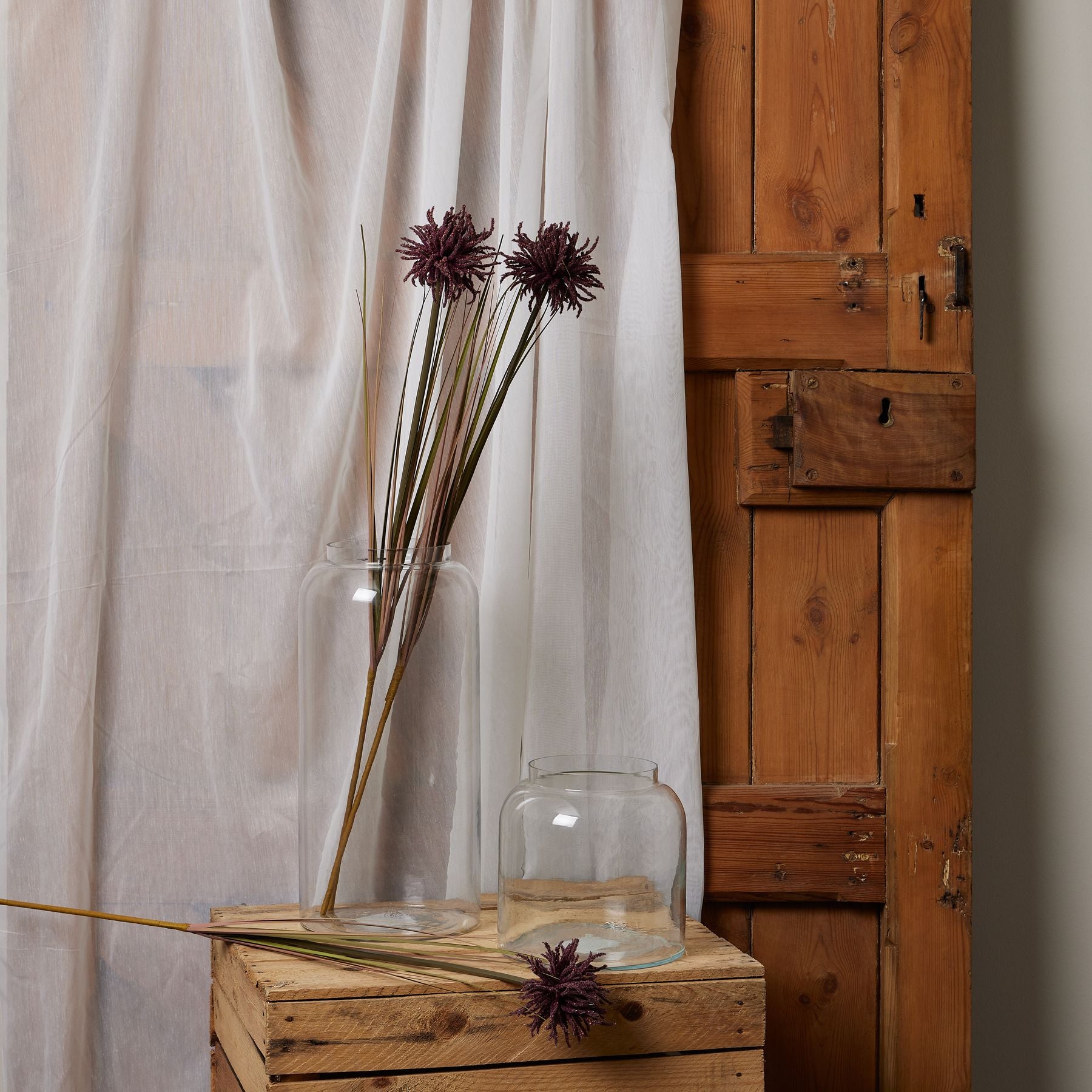Burgundy Aster Spider Chrysanthemum stem displayed in clear vases against a rustic wooden backdrop, showcasing its rich color and intricate petals.