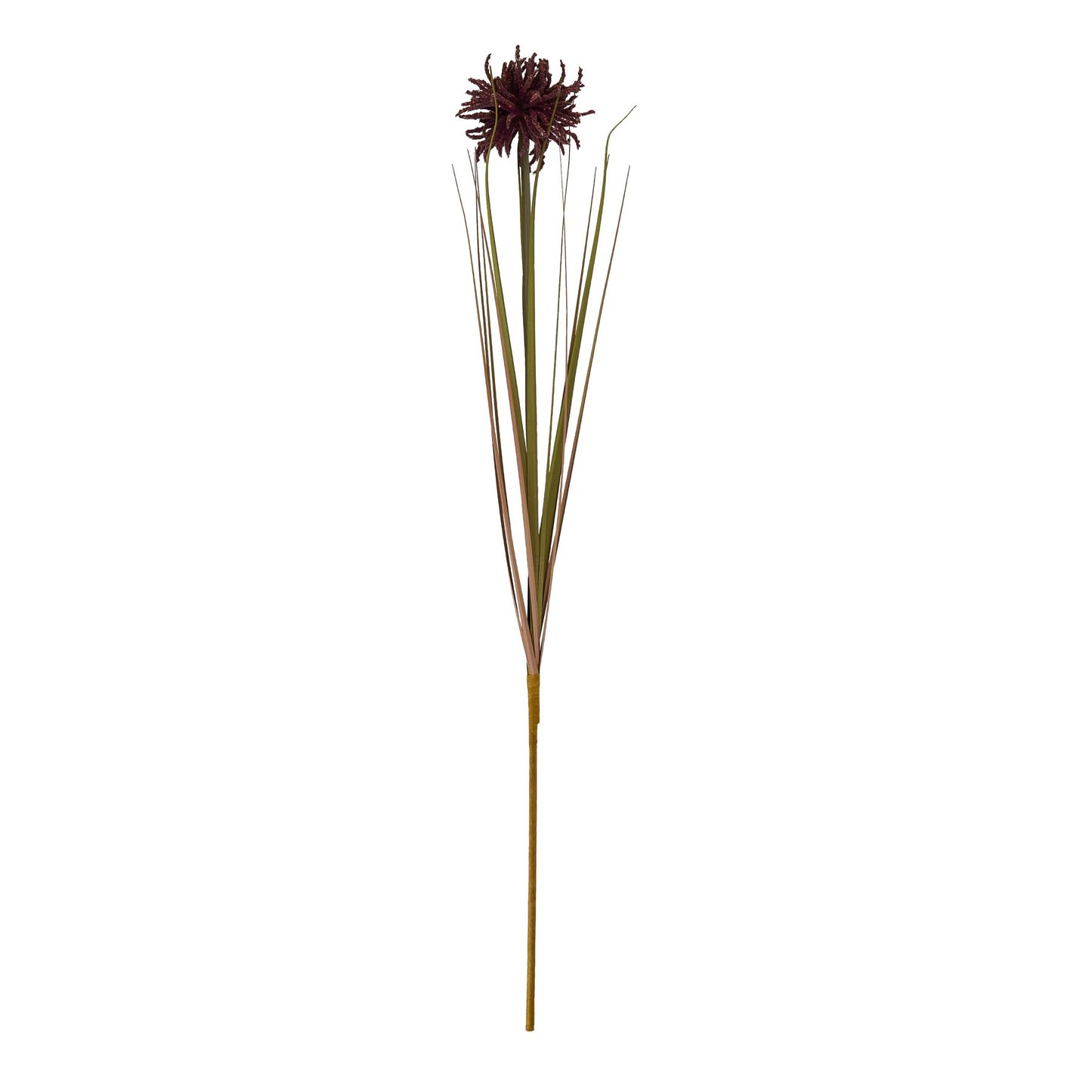 Burgundy Aster Spider Chrysanthemum Stem featuring intricate layered petals, rich burgundy color, and slender green stems, ideal for elegant arrangements.